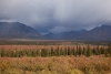 Dunkle Regenwolken überziehen die in Herbstfarben gefärbte Tundralandschaft