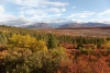 Tundralandschaft in ihrer prachtvollen Herbstfarben