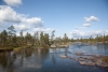 Am Ende des Sees Mårsomjávrre teilt sich der Piteälv in drei labyrinthartige Flussarme