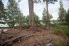 Natur-WC