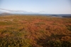 Blick zu unserem Endziel am grossen See Riebnes