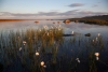Traumhafte Abendstimmung am See