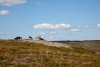 In der Gegend streifen viele Rentiere durch das Fjäll
