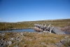 Bei der Hurvejåkka-Hütte gibt es eine Brücke über den Fluss Hurvejohka