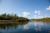 An den wilden Ufern des Fluss Könkämäälven ist zelten leider nicht möglich
